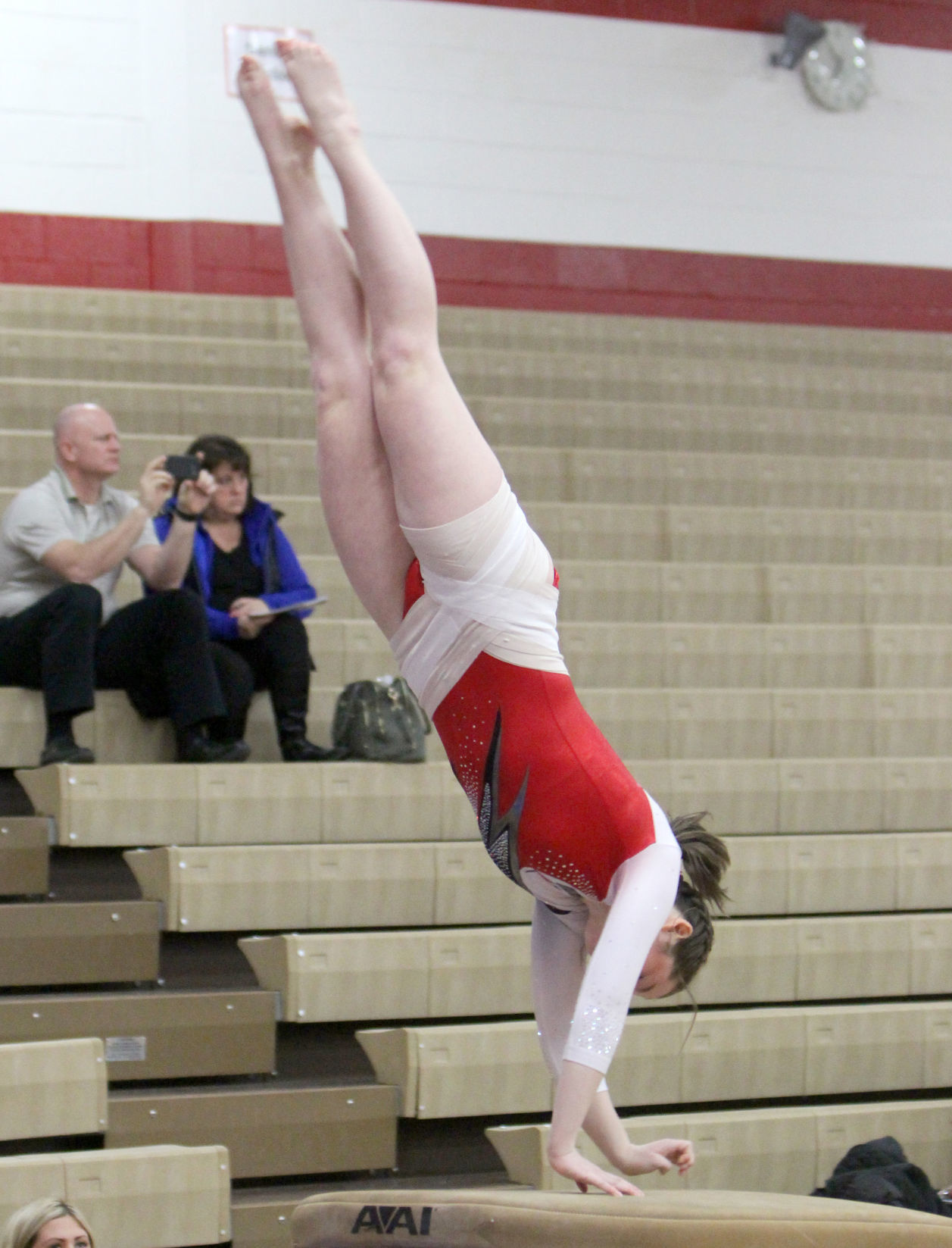 Chi-Hi Gymnastics Triangular 1-17-19